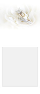 Signature-banner