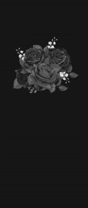 black roses